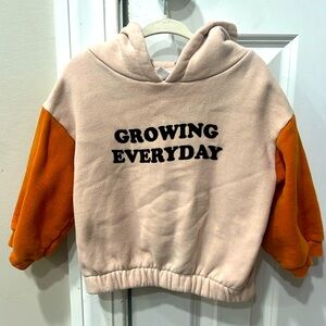Zara toddler sweatshirt